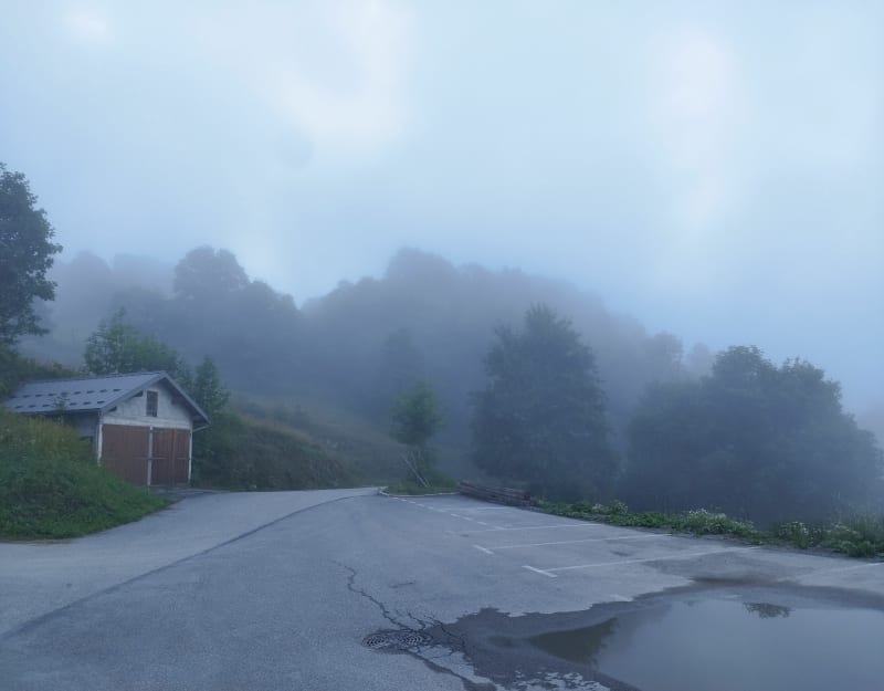 Entre forêt et Alpage, au départ du village du Roux - Les Belleville