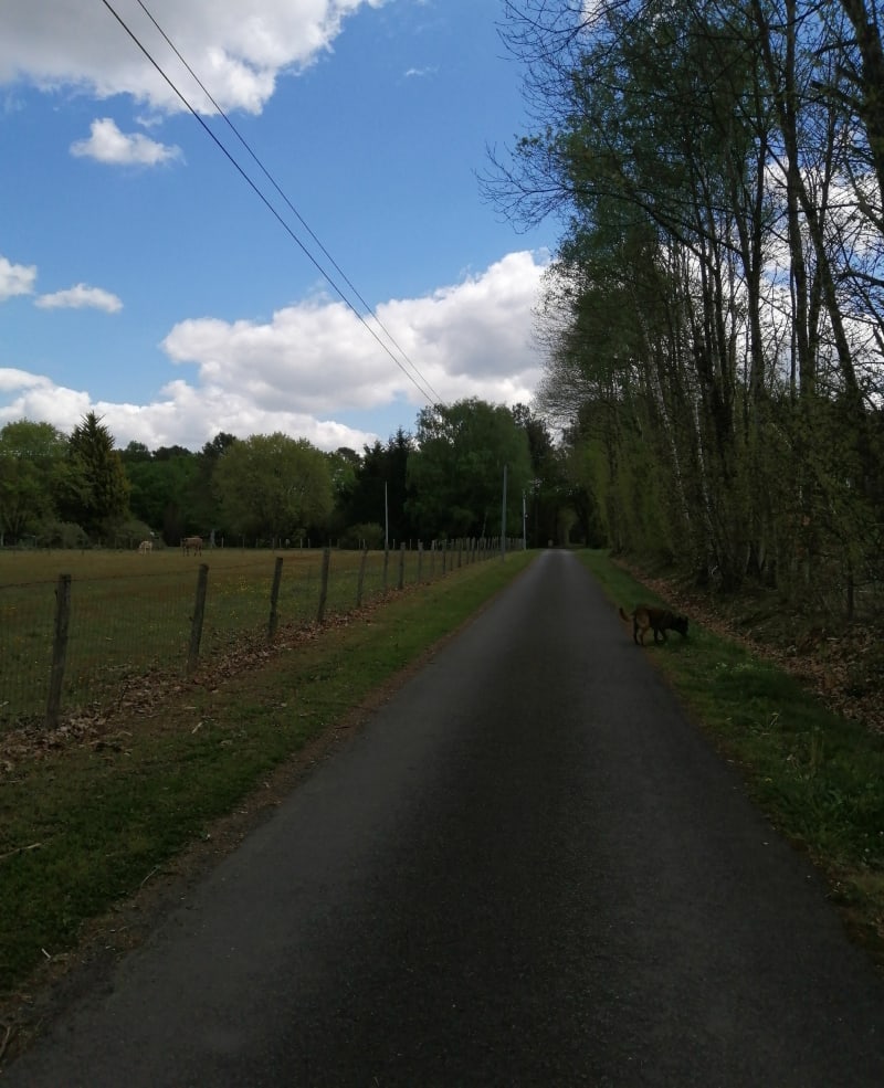 Tour de Mézeray fleurtant avec les communes voisines - Mézeray