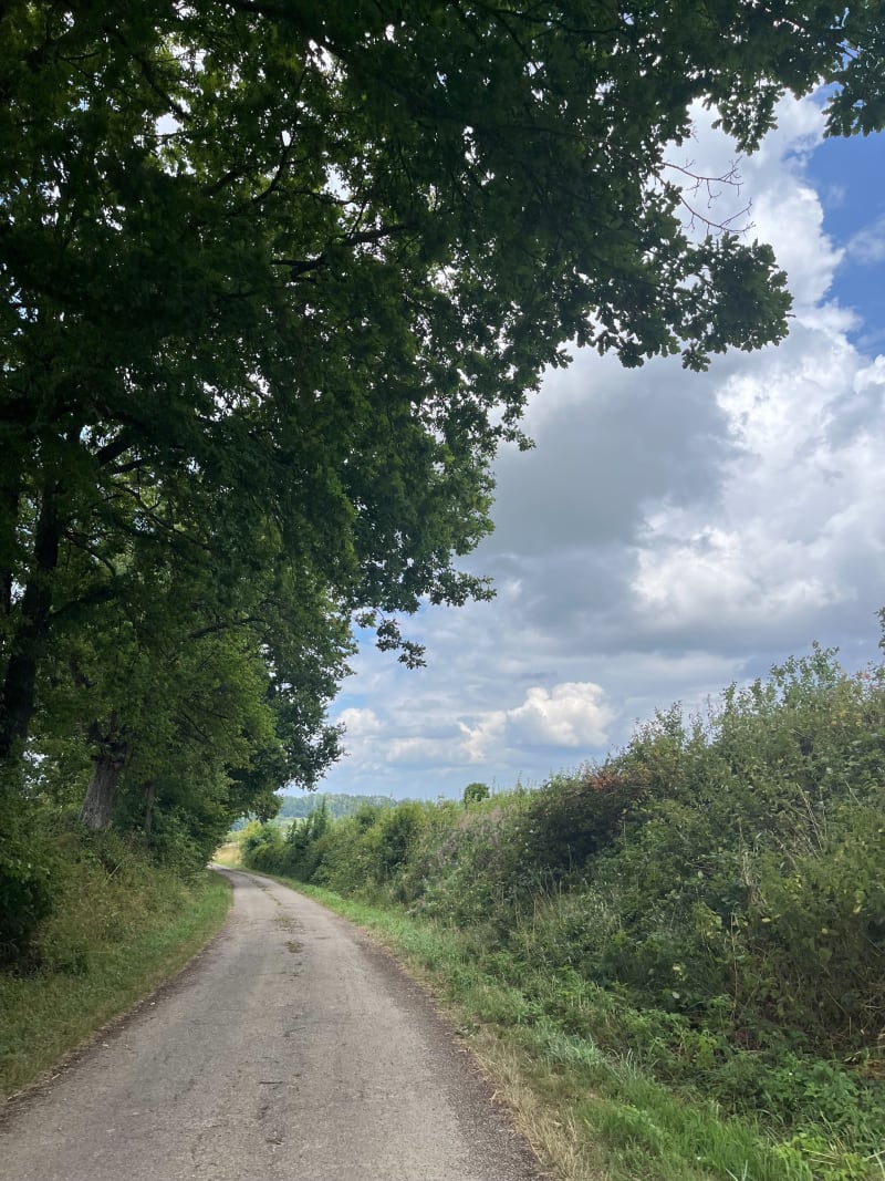 Balade entre Durmenach, Muespach et Roppentzwiller - Durmenach