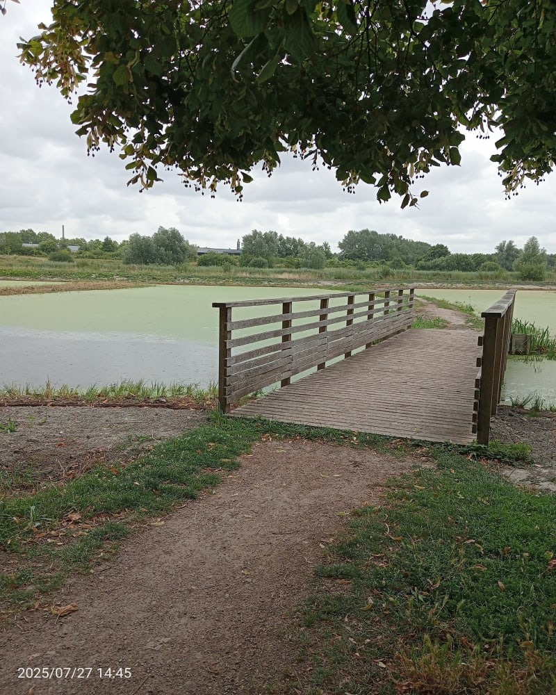 Boucle de Lens aux Berges de la Souchez - Lens