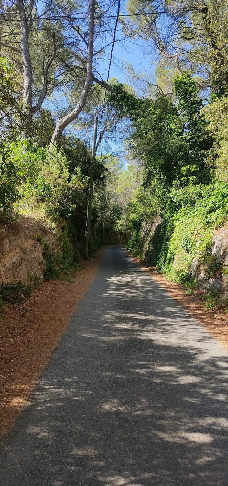 Chemin du Train des Pignes - Sillans-la-Cascade