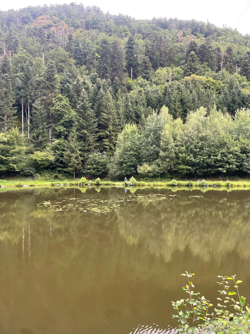 Tour Etang des Fées des Bruches - Saulxures-sur-Moselotte