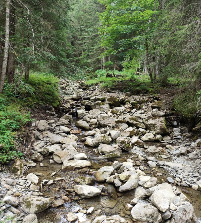 Parcours des alentours de la station Praz de Lys - Taninges