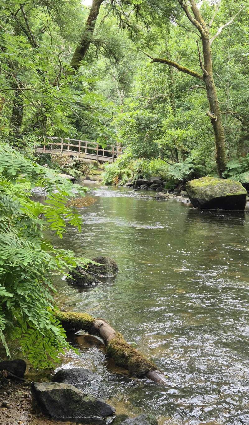 Gorges de Stangala - Quimper