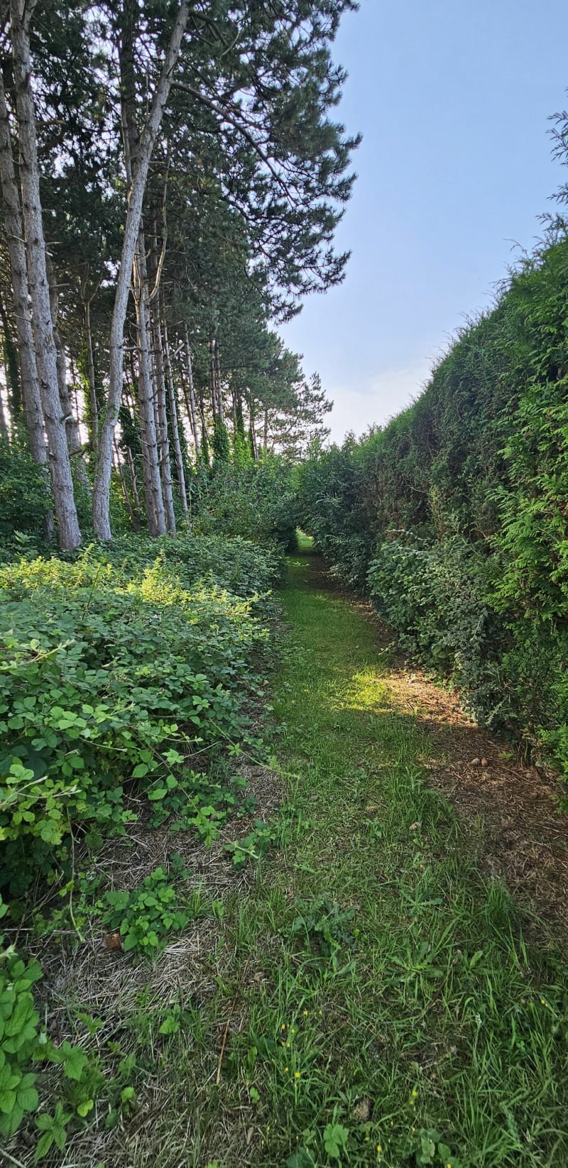 Jolie balade dans les bois d'Etennemare de SV-en-Caux - Saint-Valery-en-Caux