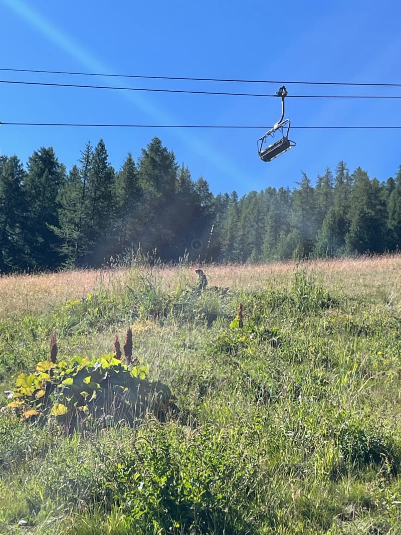 Montée de Serre Ratier en haut du téléphérique et par Vallons - Saint-Chaffrey