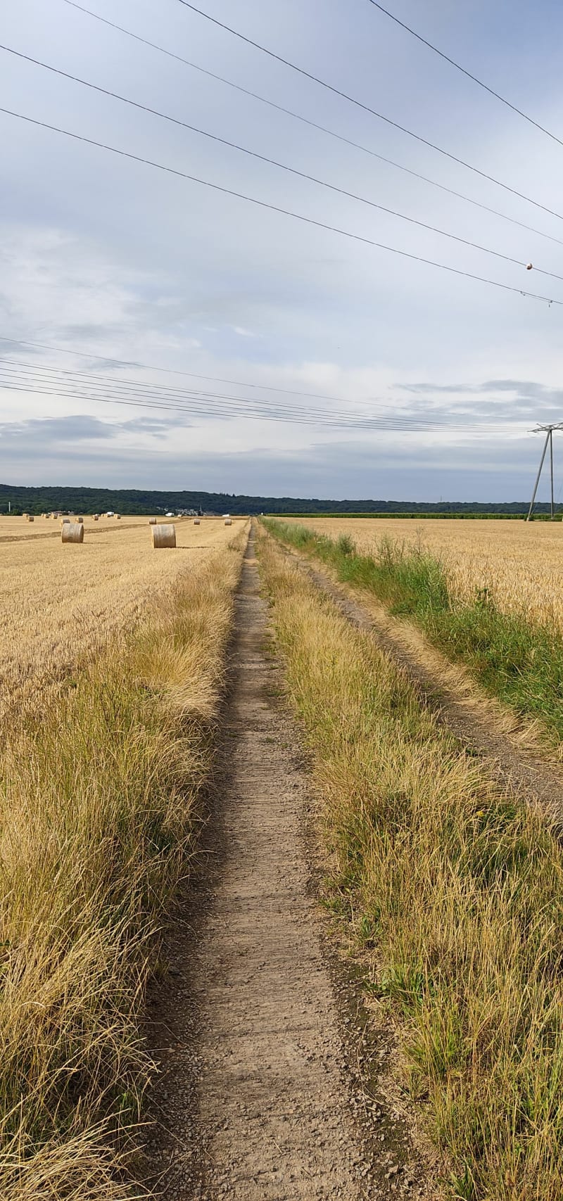 Balade autour de Courdimanche et Menucourt - Courdimanche