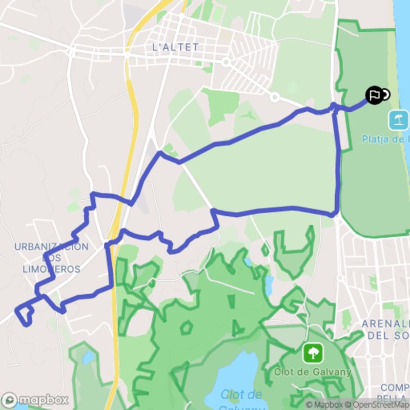 Randonnée à Elx / Elche: Exploration des sentiers depuis Platja de l'Altet - Elche