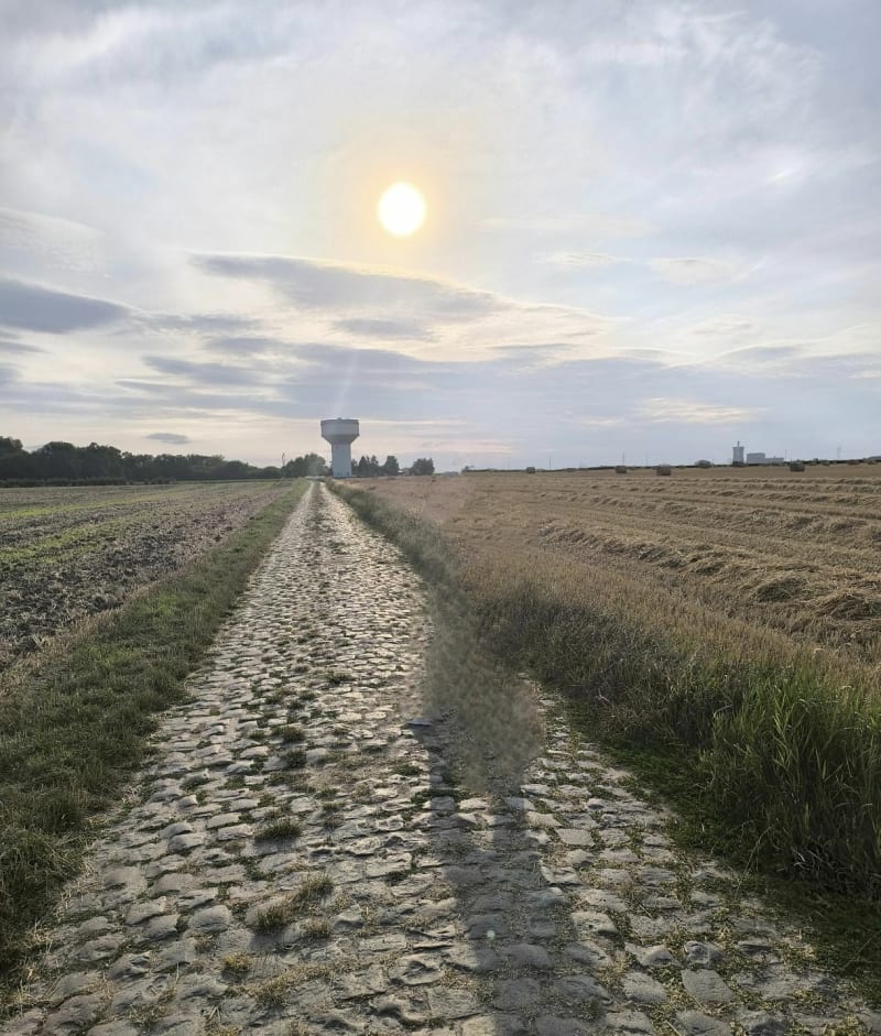 Balade dans les champs de Denain de Bellevue - Denain