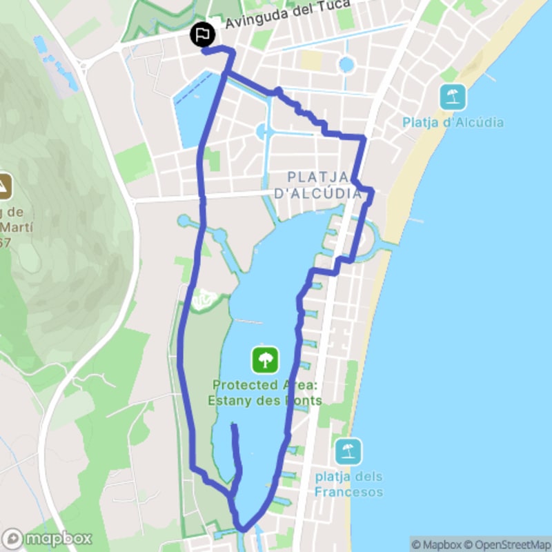 Randonnée à Alcúdia : Sentiers variés et découvertes naturelles - Platja d'Alcúdia