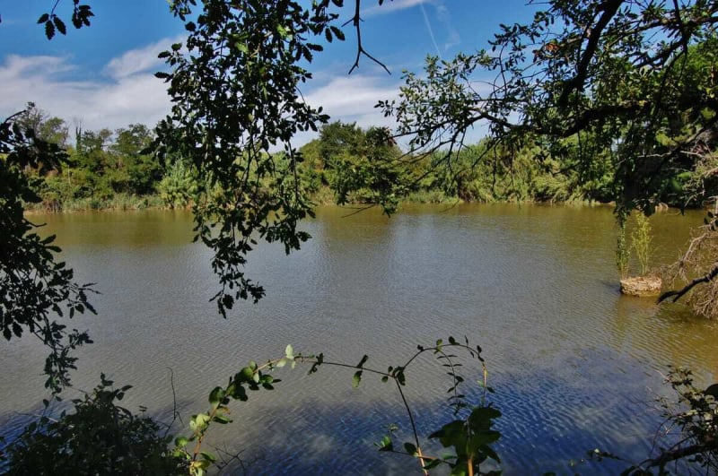 Randonnée à Sant Sadurní d'Anoia: Nature et Culture Viticole - Sant Sadurní d'Anoia
