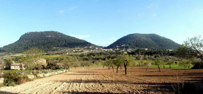 Randonnée à Algaida: Exploration Nature et Patrimoine depuis Penyes des Colomer - Algaida