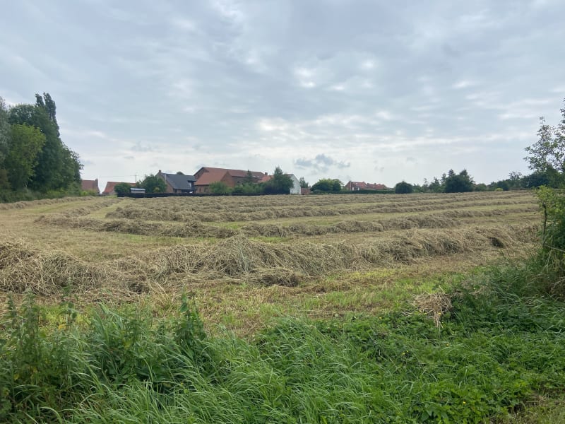 Parcours VTT autour de Boeschepe - Boeschepe