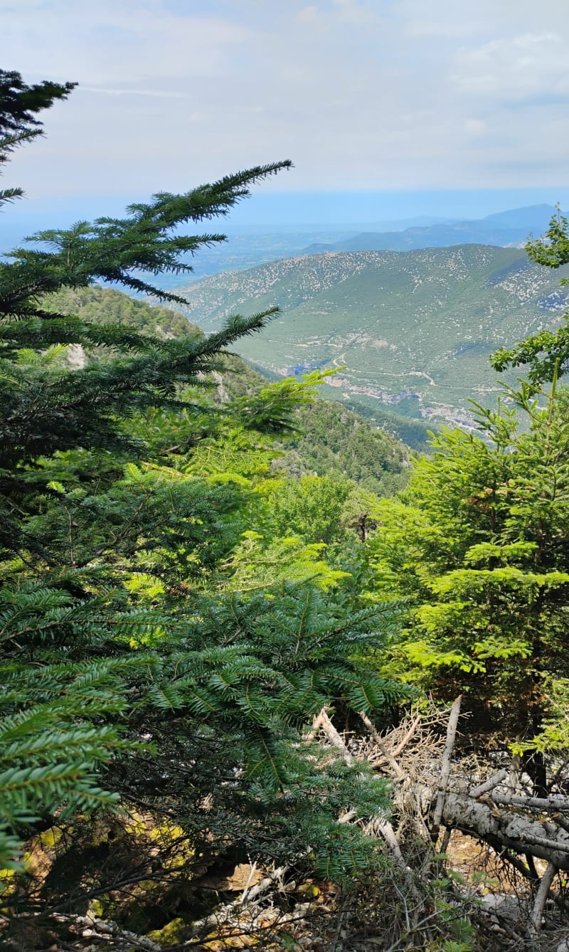 Balade du Rieufroid au Mont Serein - Beaumont-du-Ventoux