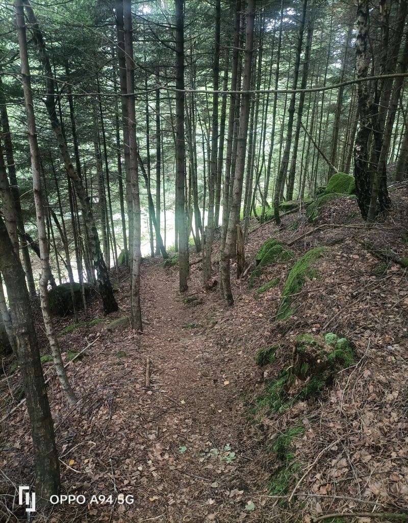 Rando bucolique et forestière à Raon-sur-Plaine, par Col de Prayé - Raon-sur-Plaine