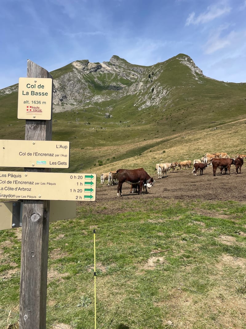 Col de la Basse et Marée Dessus - La Côte-d'Arbroz