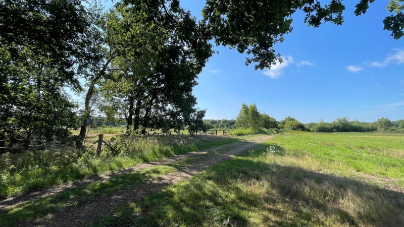 Wandeling langs de Ronde Put en Kommiezenheide - Mol