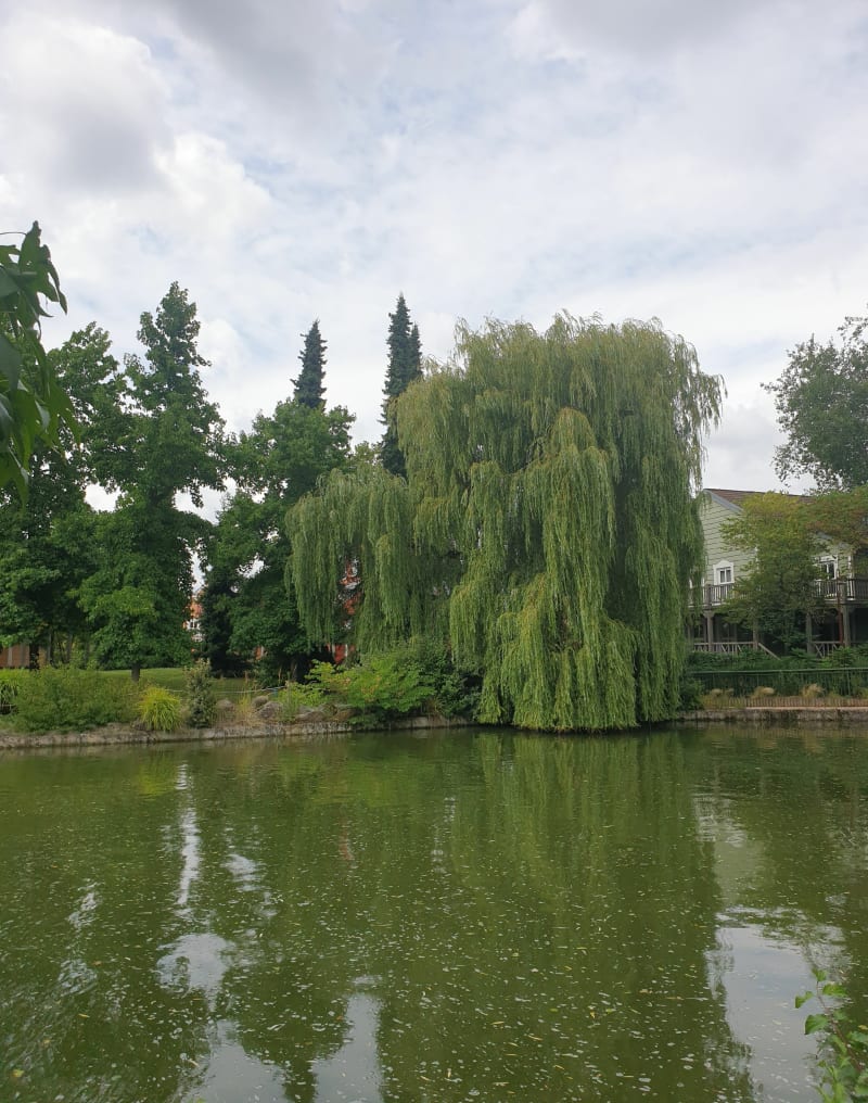 Disney Village et Lac Buena Vista - Serris