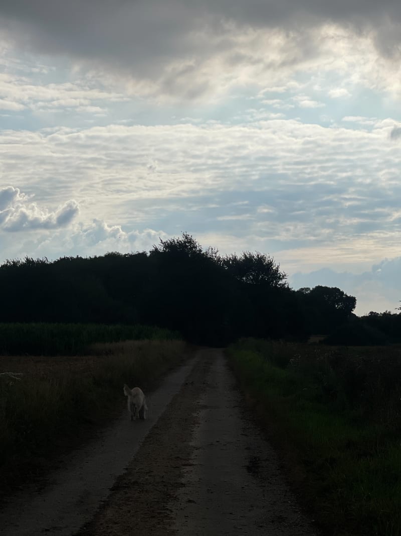 Courte balade à Coisy - Coisy