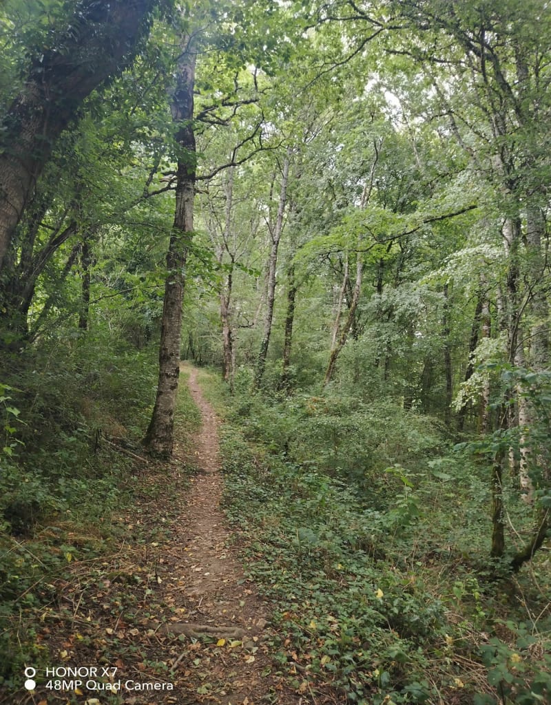 Le Puy du Vaurs des Pradels - Arpajon-sur-Cère