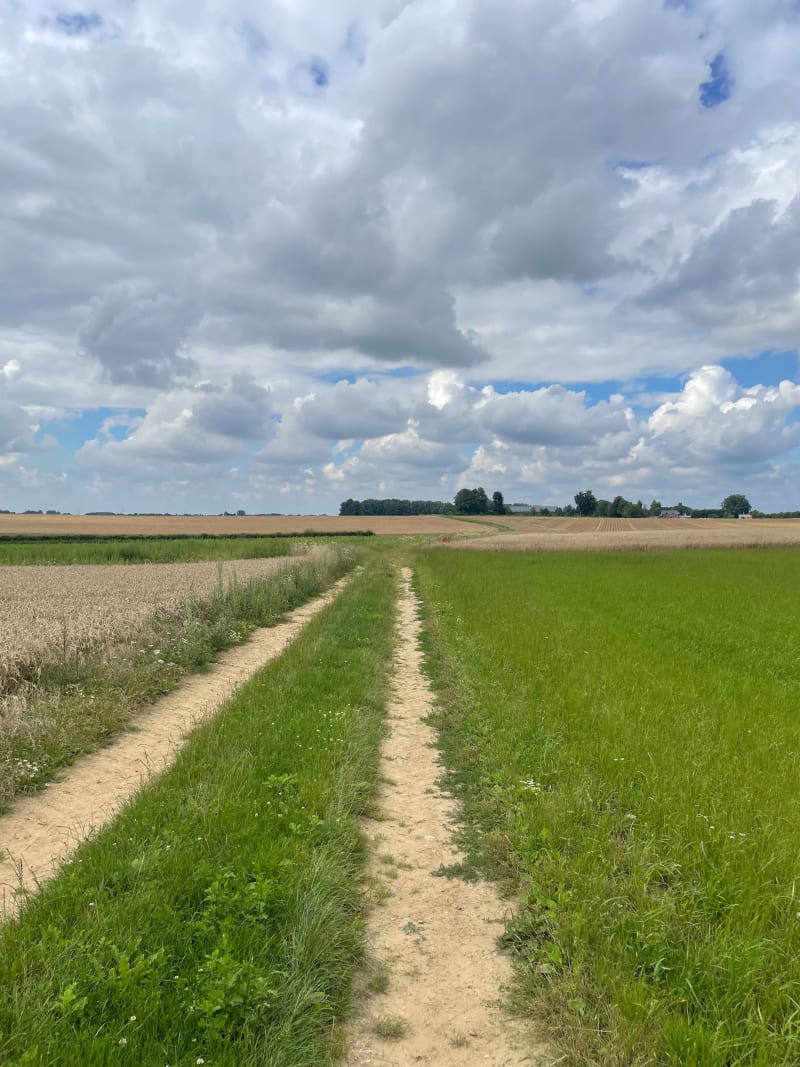 Balade sur Cressieuzemare - Frichemesnil