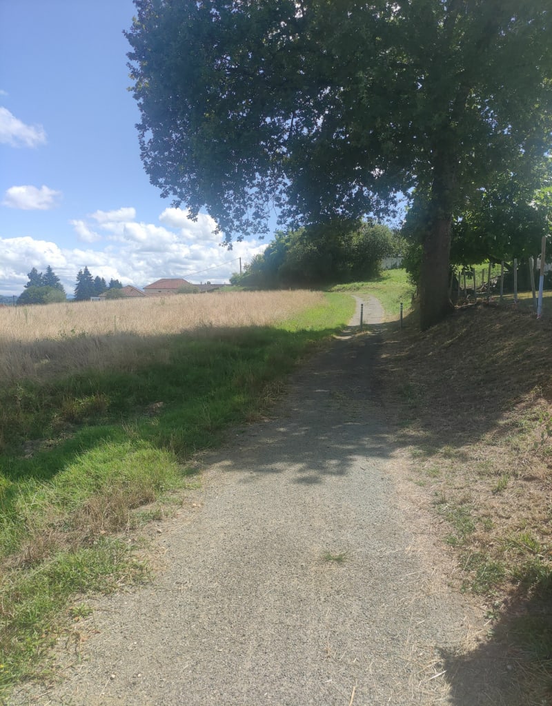Parcours VTC à Monein, Parbayse et Abos - Monein
