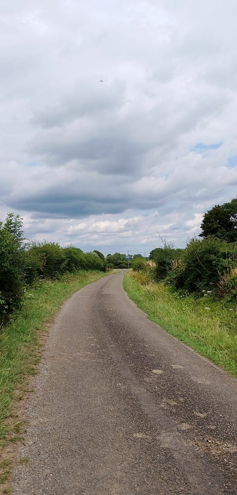 Petite balade dans les chemins de campagne de Larouillies - Larouillies
