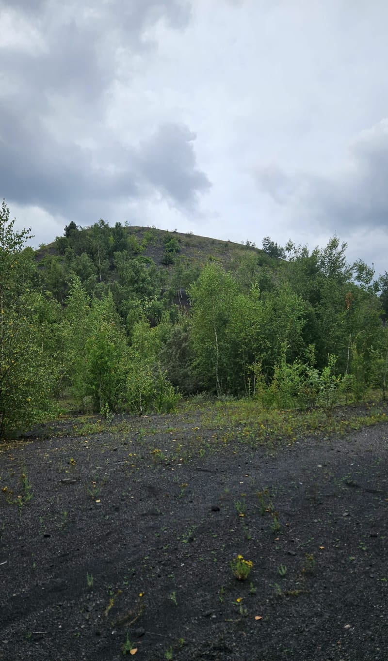 Terril à Hénin-Beaumont - Hénin-Beaumont