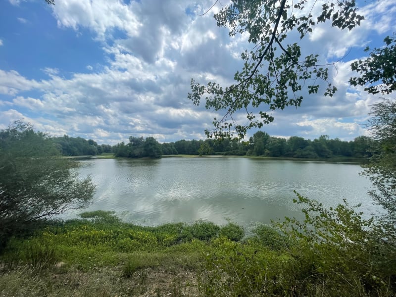 Iloa par le lac de Courty - Dorat