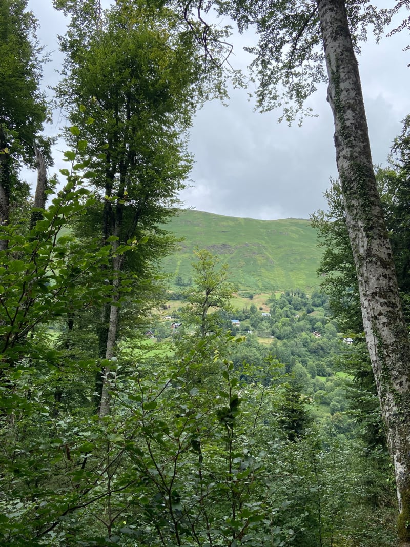 Promenade Gamont et Princes - Eaux-Bonnes