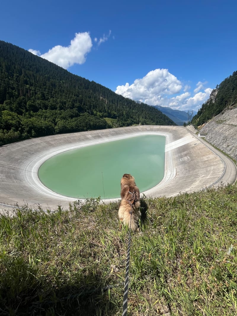 Pointe du Cuchet et retenue de la Coche - Salins-Fontaine
