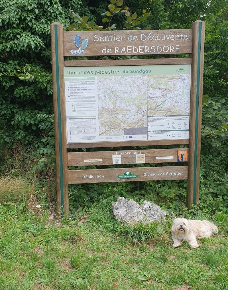 Sentier de découverte de Raedersdorf - Raedersdorf