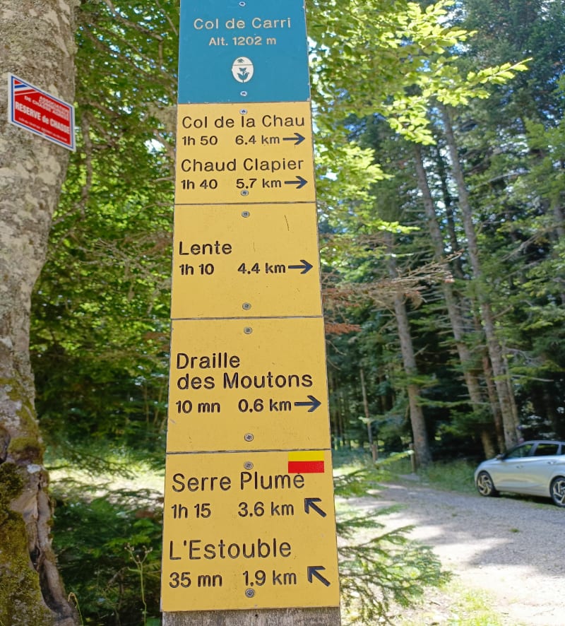 Le Serre Plumé depuis le col de Carri - La Chapelle-en-Vercors