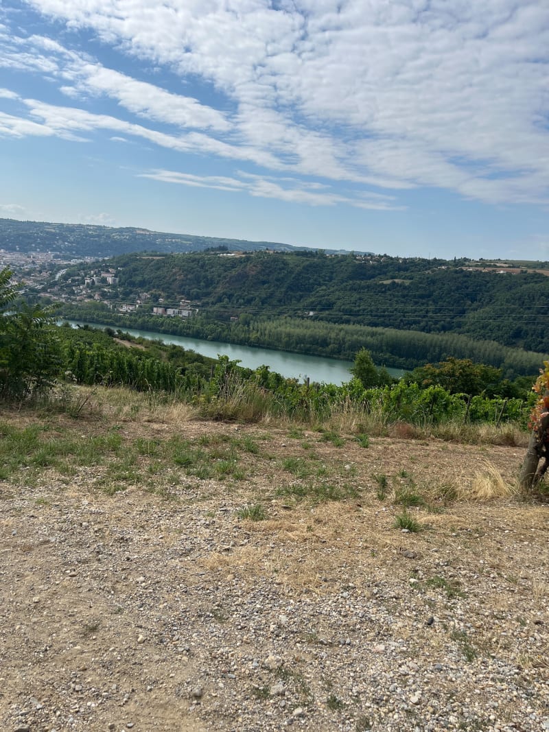 Dans les vignes de Seyssuel - Seyssuel