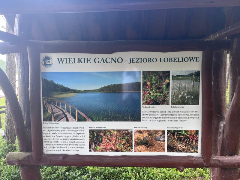 Z parkingu na klatkę nad jeziorem Wielkie Gacno i z powrotem - Józefowo