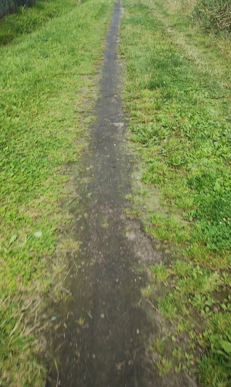 Ergo arena plaża blonie - Gdańsk