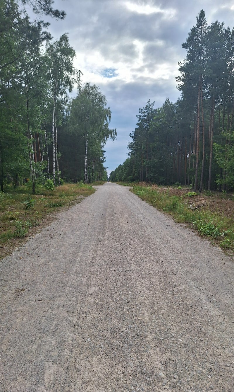 Leśny spacer w Radomsku - Radomsko