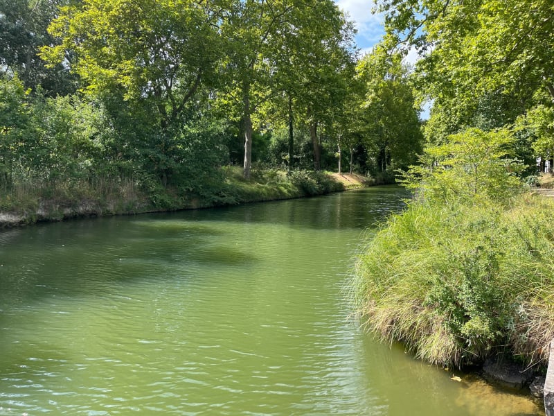 Petite balade bucolique jusqu’au port Saint-Sauveur - Toulouse