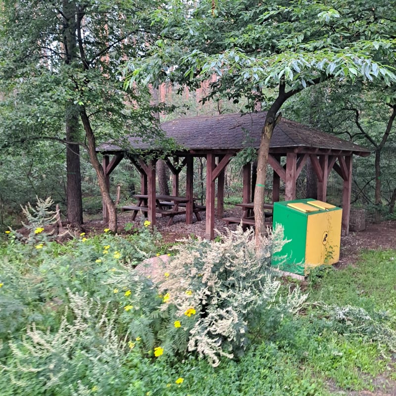 Parking lesny - Bydgoszcz