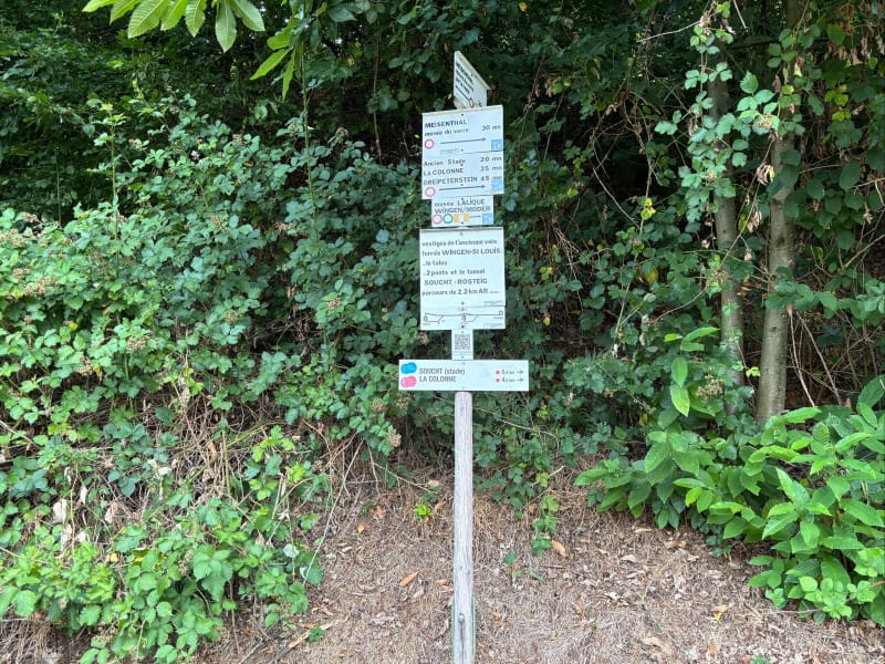 Sentier d’excellence de Soucht - Soucht