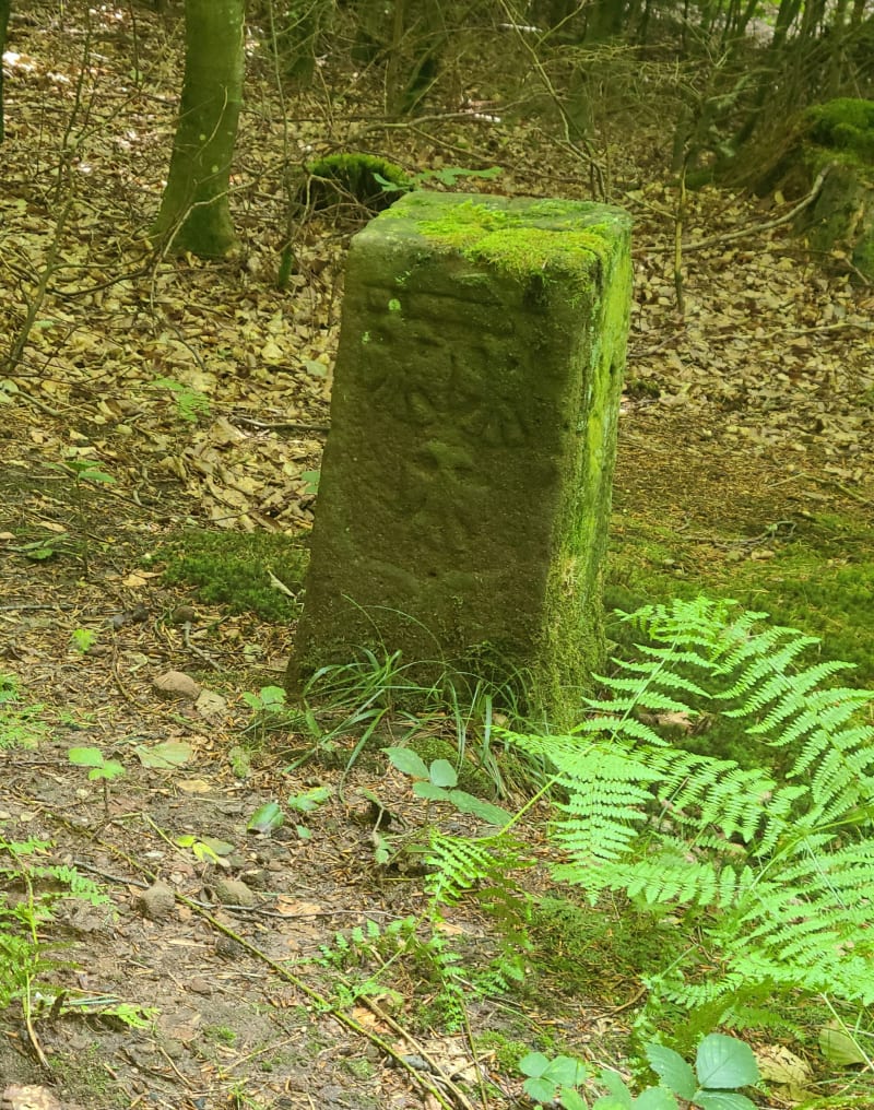 Petite circulaire entre Abresch et Lettenbach - Saint-Quirin