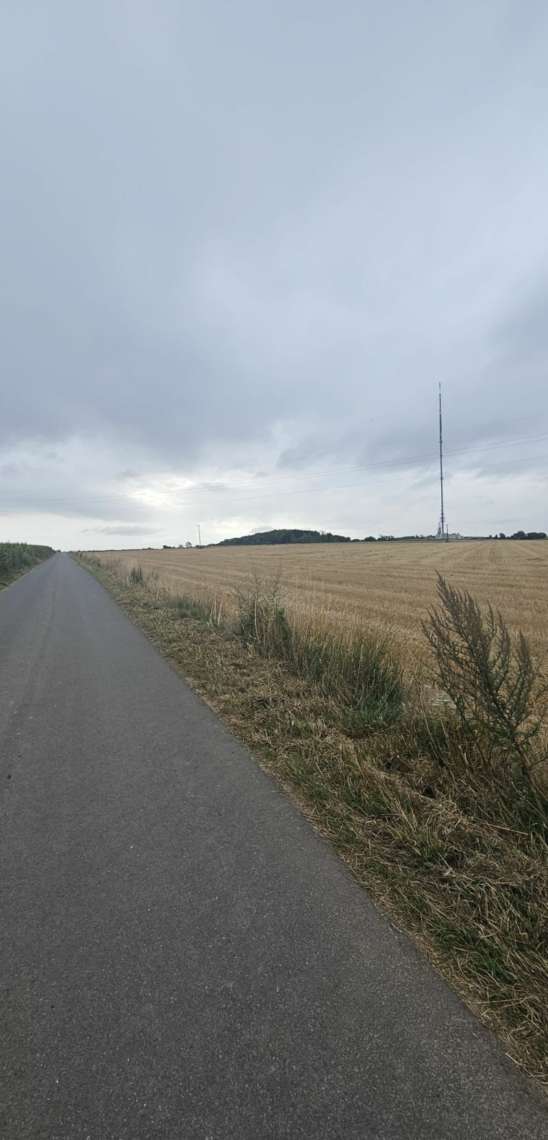 Lievin parc Dohlain - Liévin