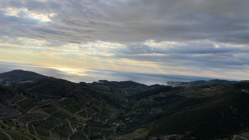 Haut de Collioure - Collioure