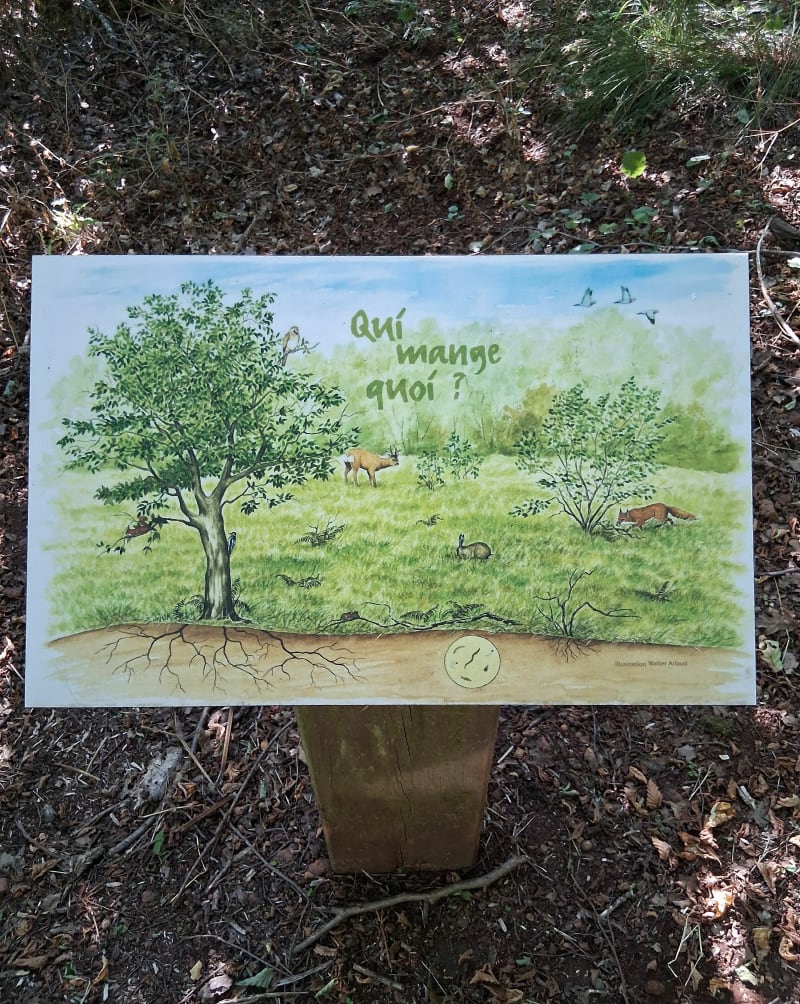 Sentier de l'Escrinet et Blandine - Saint-Étienne-de-Boulogne