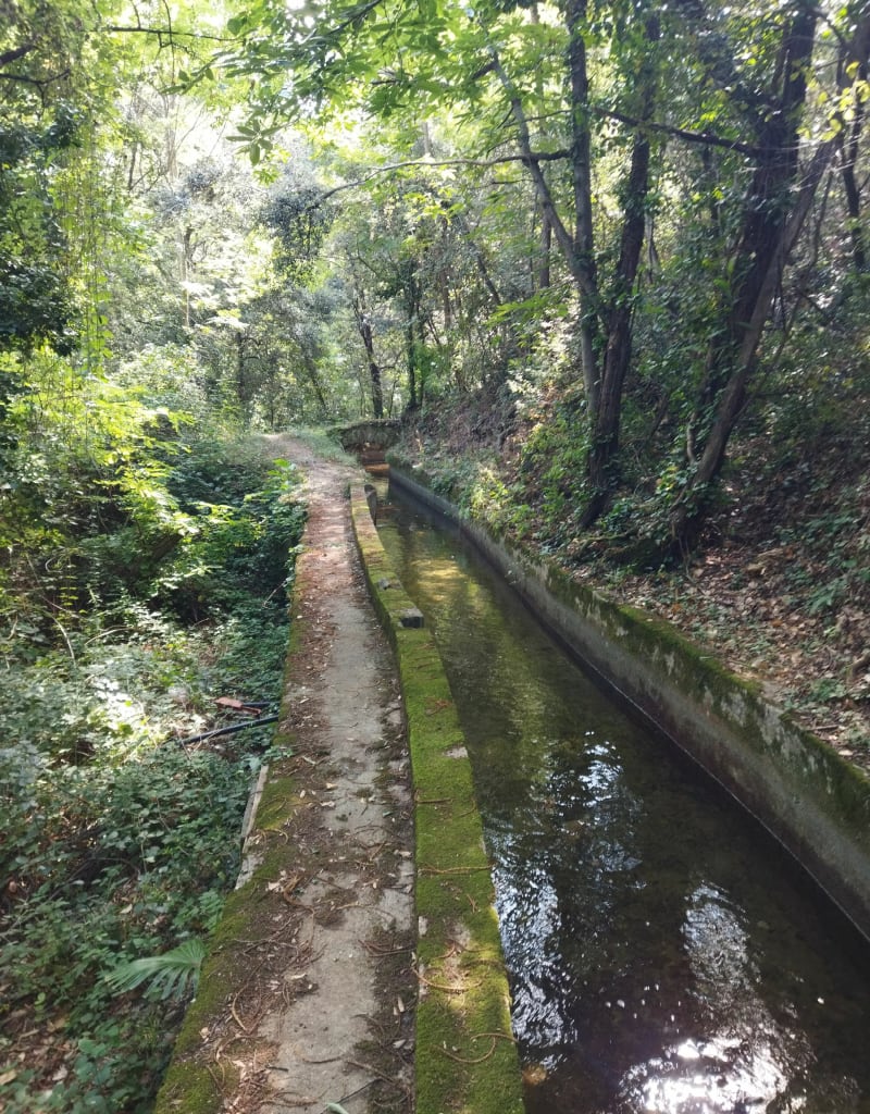Céret for ever - Céret