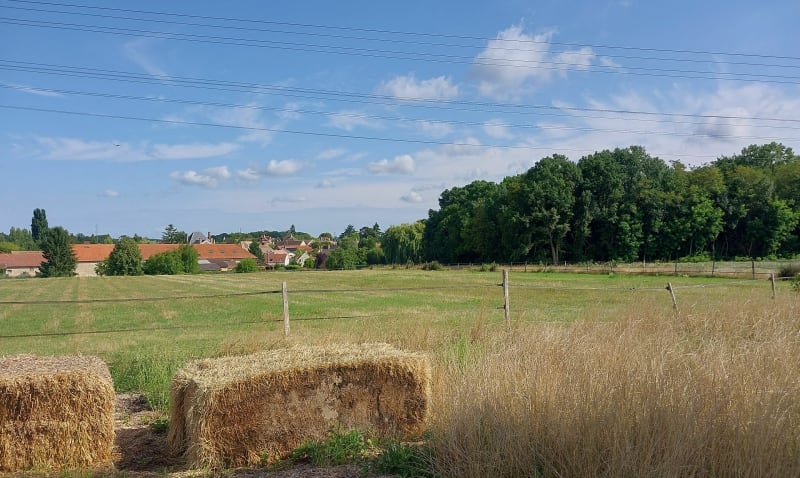 Balade au départ des Florelites - Saint-Fargeau-Ponthierry