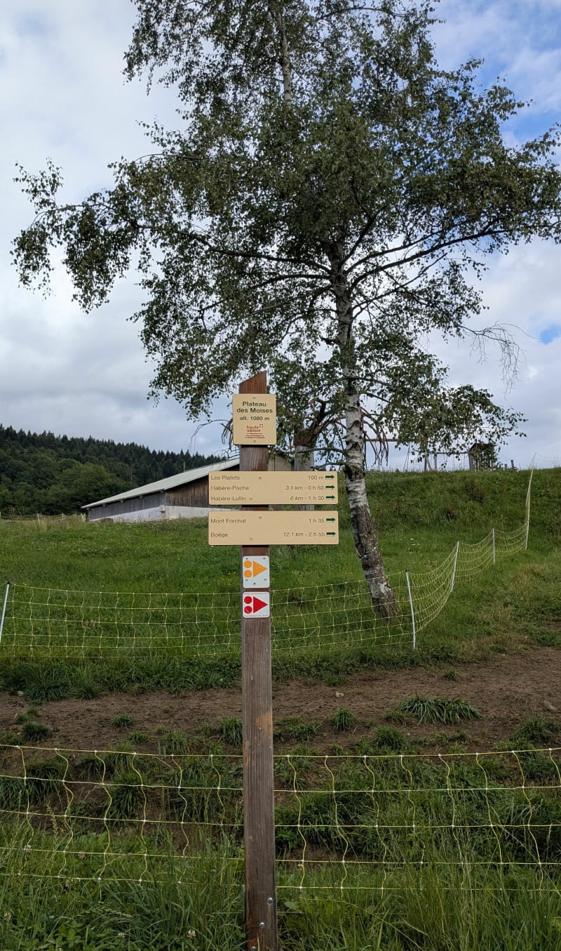 Plateau des Moises - Habère-Poche