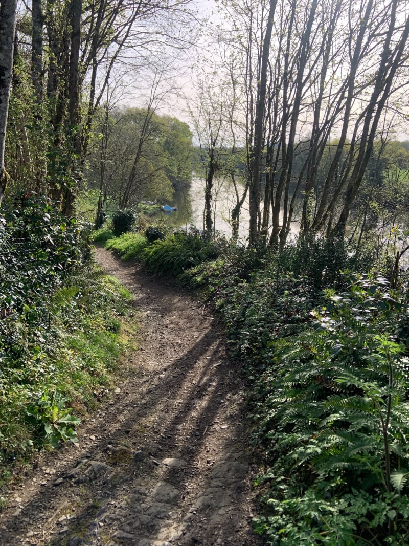 Gravel sur Sèvre - Les Sorinières