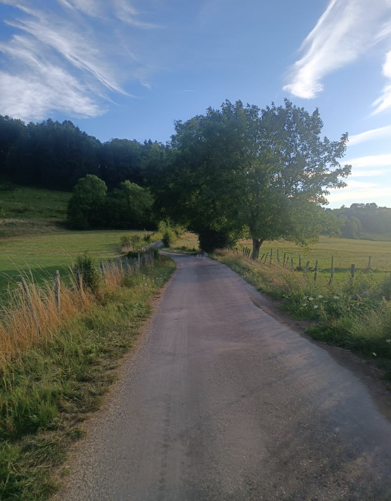 Point de vues d'Evosges - Évosges
