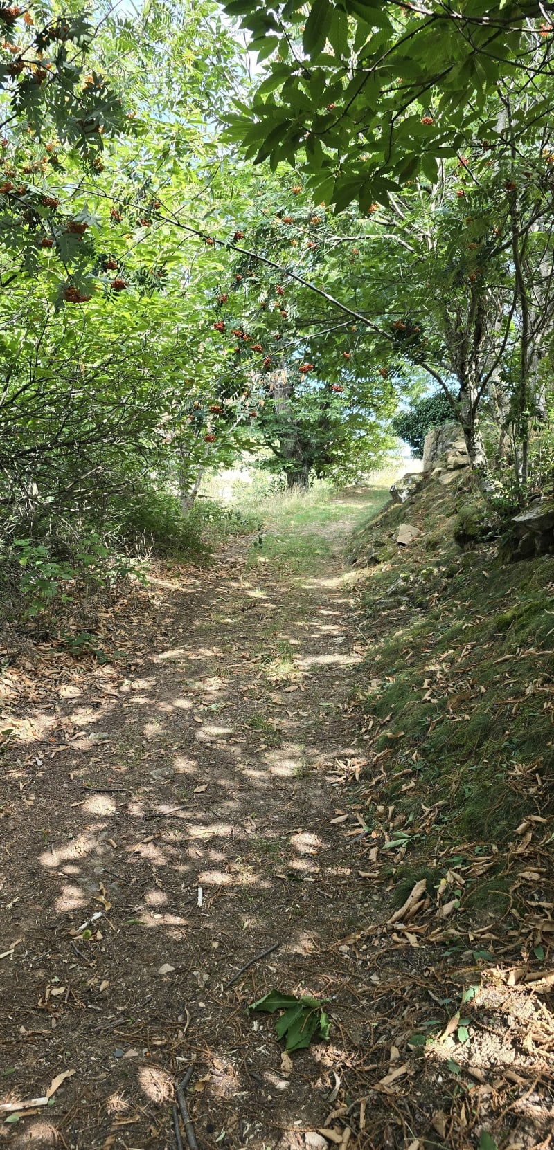 Rando de Intres et Saint-Julien-du-Gua - Saint-Julien-du-Gua